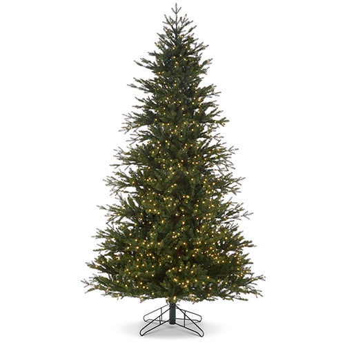 Christmas Trees | Madisonville Christmas