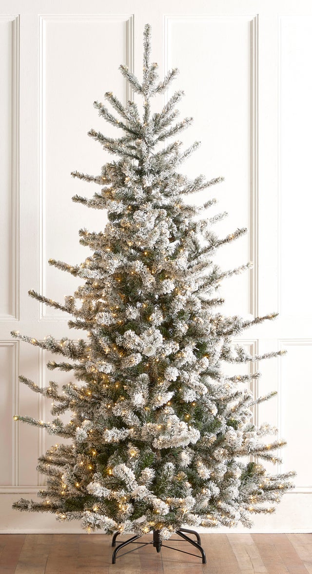 Christmas Trees | Madisonville Christmas